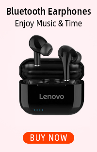 Earphones Accessories